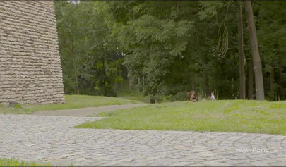 Two fit teens with great tits and perfect bodies have a steamy lesbian sex outside