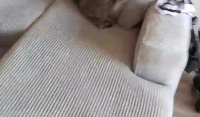 Astonishing brunette teen schoolgirl sucks his huge cock and rides it balls deep