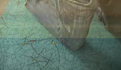 Teen cutie is bent over and her tight wet pussy is filled up by her hunky man