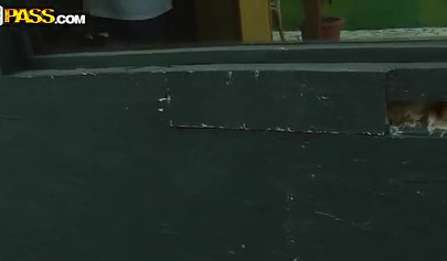 Fat ass of teen gets absolutely destroyed by a horny stud with a big fat dick