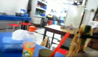 Indonesian teen whore sucks a dick and takes it up her little sweet twat for you