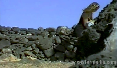 A perverted guy secretly records a naked busty teen girl on a beach for himself