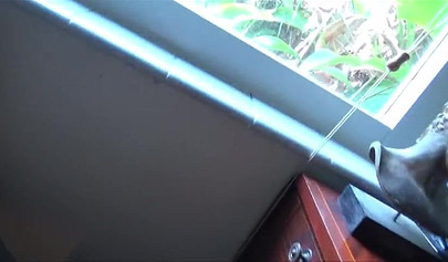 Ebony teen chick gets her first taste of stepbros white chocolate massive dick