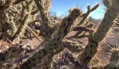 Teenage couple explore the world while they fuck out there in the mountains