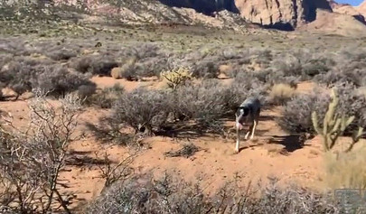 Teenage couple explore the world while they fuck out there in the mountains