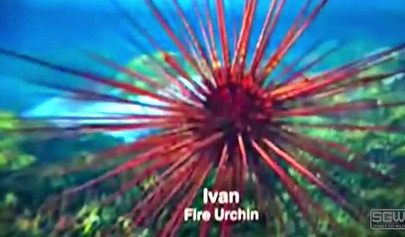 Teenage couple explore the world while they fuck out there in the mountains