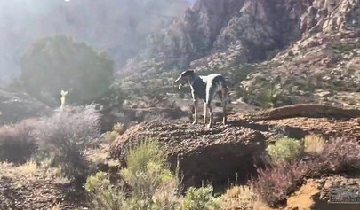 Teenage couple explore the world while they fuck out there in the mountains