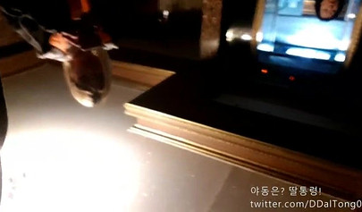 Skinny Korean blonde teen fucks with BF in hotel room