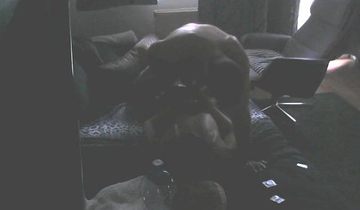 Amateur bdsm with hard anal fucking