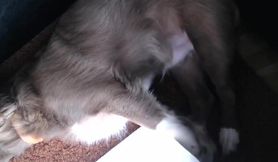 Gorgeous webcam model teasing and masturbating