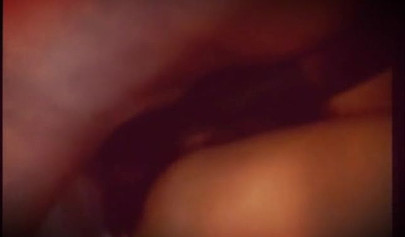 Classic babe is a new slut in the neighborhood