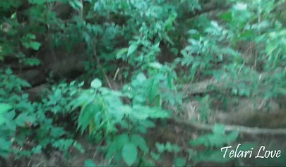 Slim brunette teen swallows cum in POV