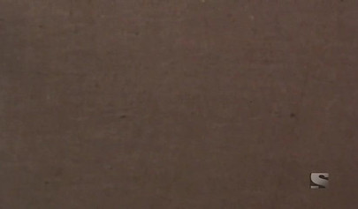 Window cleaner gets some hot pussies in vintage porn