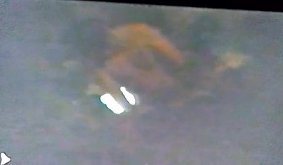 Cheating wife caught getting ass fucked