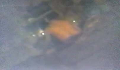 Cheating wife caught getting ass fucked