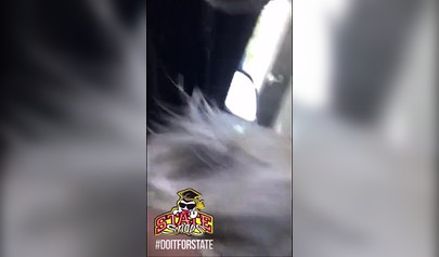 Compilations of horny teen chicks getting turned up on college