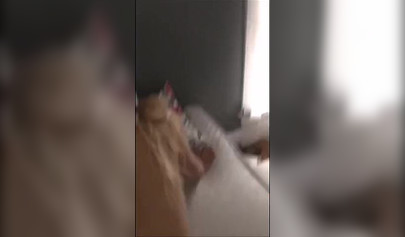 Compilations of horny teen chicks getting turned up on college