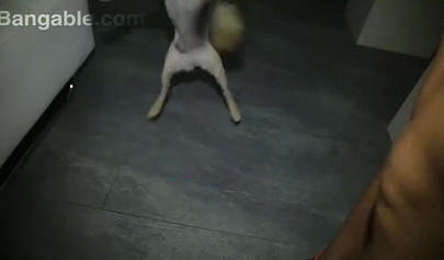 Compilation of beautiful babes stripping in front of camera