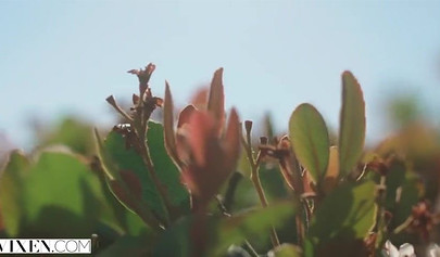 Blonde petite chick Kenna James gets hardcore ramming by her horny piano teacher