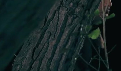 Horny babes Abella Danger and Joanna Angel make an outdoor threesome