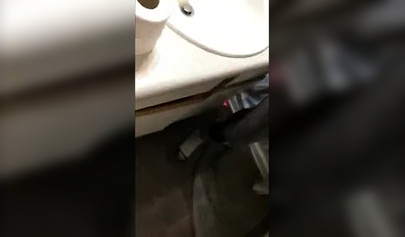 Amateur compilation of hot chicks giving amazing blowjobs