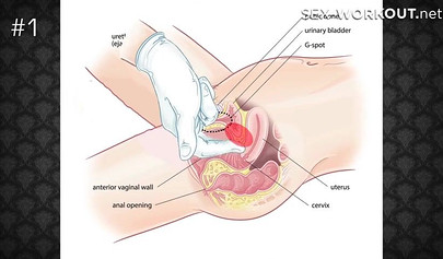 Sexy Gina Gerson and her teenage girlfriend loving anal threesome