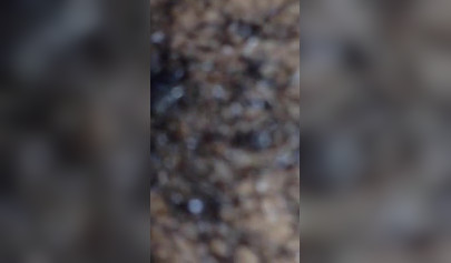 Adorable teen pleases a BBC and enjoys the taste in her mouth