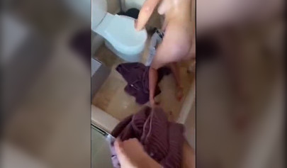 Nubile sucks a dick and gives a tit job in homemade production