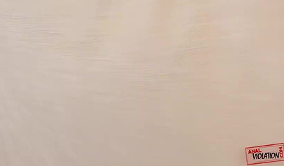 Young brunette chokes on a huge dick and gets her ass railed