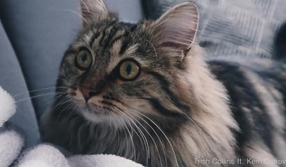 Mesmerizing teen with deer horns sucks the cock and fucks from behind