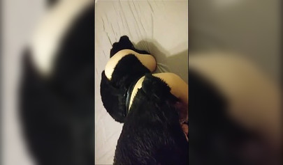 Compilation video of promiscuous nubile babes sucking on some massive hard cocks