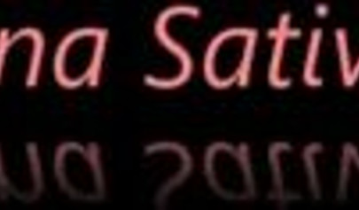 Mesmerizing naked babes adore licking each other's cute ass holes