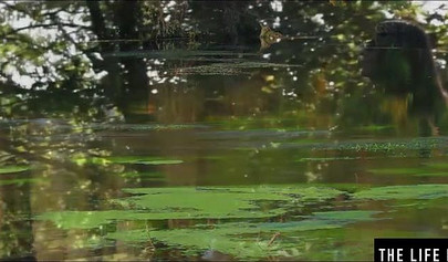 Sultry country rubbing her cock hungry pussy by the fireplace