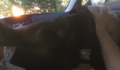 Masked Russian schoolgirl gets fucked in the stranger's car