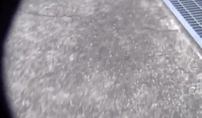 Shameless Asian teen babes caught peeing in public