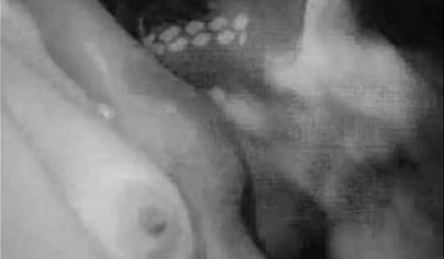 Vintage sex compilation with the most attractive teens sucking and fucking