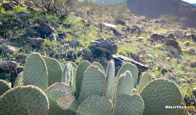 Teen hottie Molly Pills gets both her holes dicked while hiking