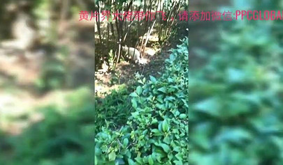 Lovely Asian babe blows off a random dude in the hallway of hotel