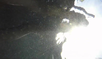 Ebony teen Sarah Banks gets her black cunt creampied by a white dude