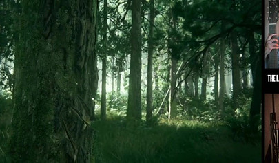 Ellie and Joel love to fuck in public - compilation