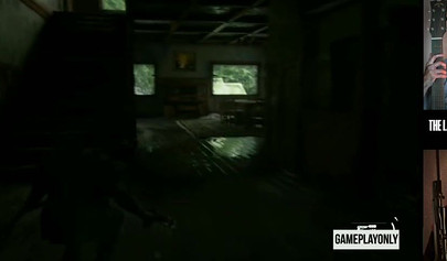 Ellie and Joel love to fuck in public - compilation