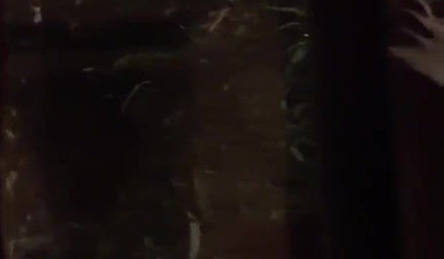 Sultry Vampire Lesbians Pussy Licking And Fingering Hardcore