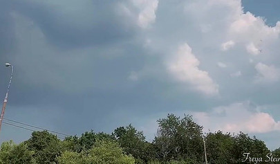 Glamorous teen babe Freya Stein giving head in the car